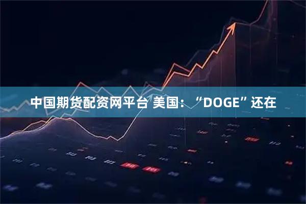中国期货配资网平台 美国：“DOGE”还在