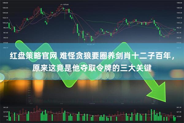 红盘策略官网 难怪贪狼要圈养剑肖十二子百年，原来这竟是他夺取令牌的三大关键