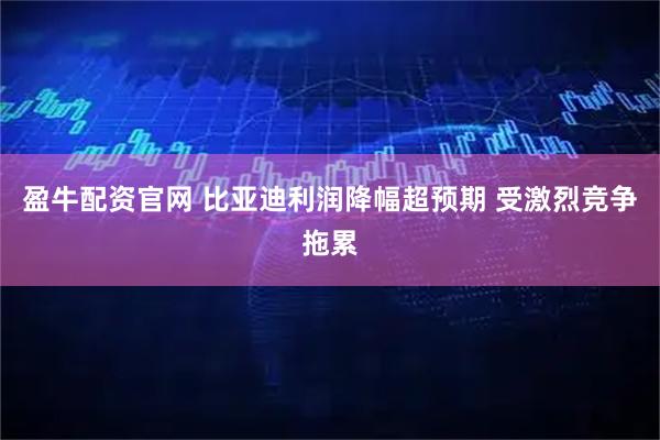 盈牛配资官网 比亚迪利润降幅超预期 受激烈竞争拖累