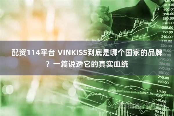 配资114平台 VINKISS到底是哪个国家的品牌？一篇说透它的真实血统