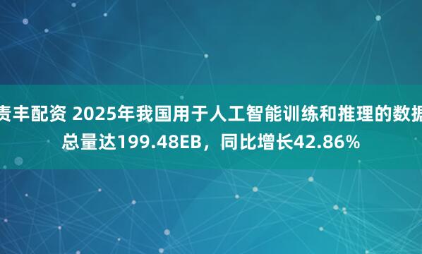 责丰配资 2025年我国用于人工智能训练和推理的数据总量达199.48EB，同比增长42.86%